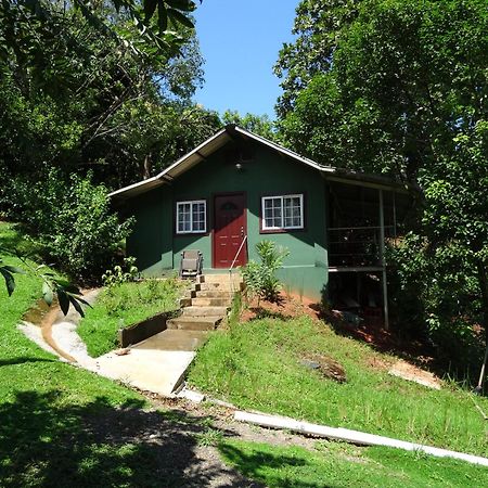 Los Pinos De Torio Ngoại thất bức ảnh