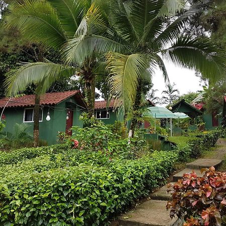 Los Pinos De Torio Ngoại thất bức ảnh
