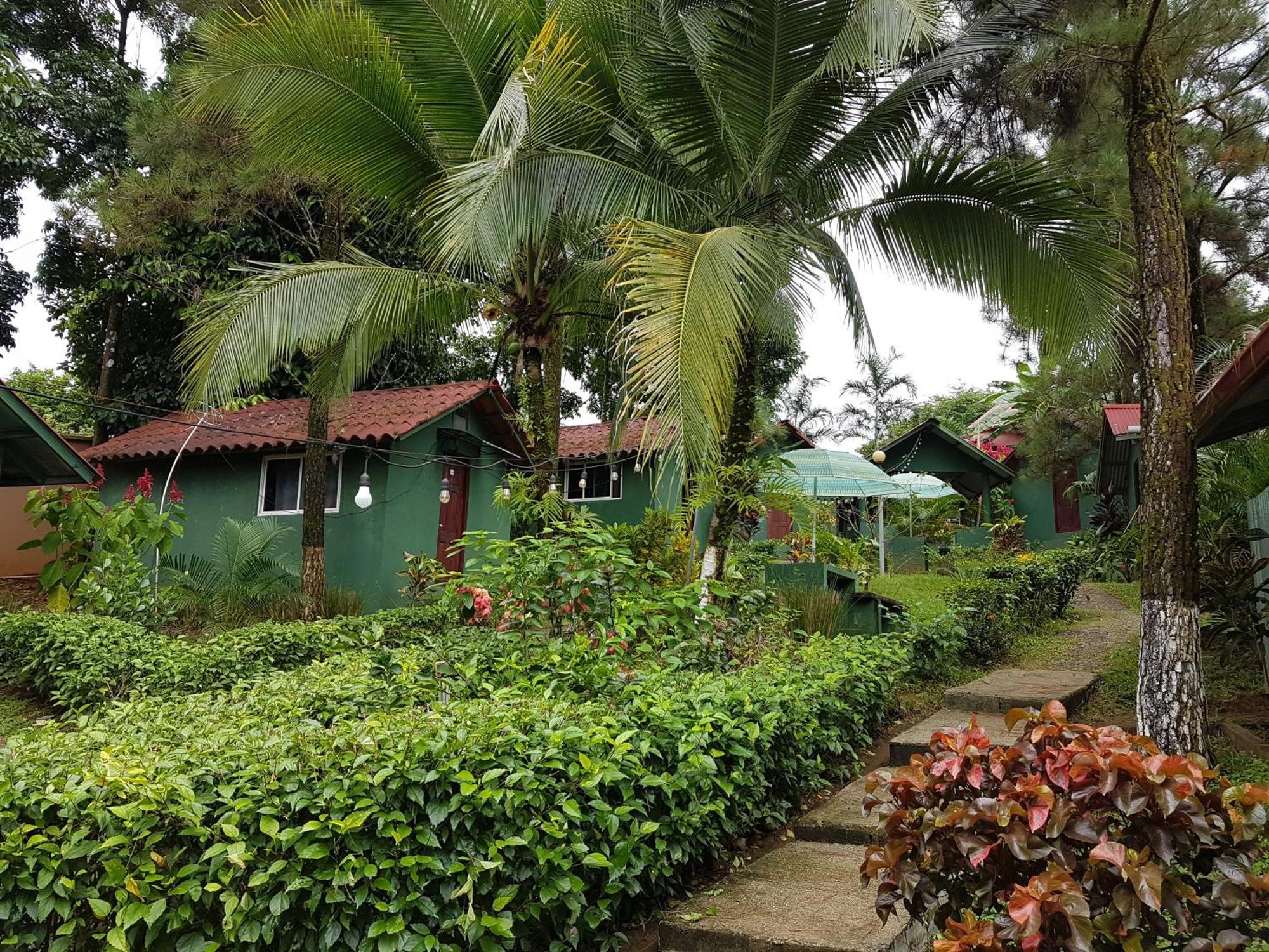 Los Pinos De Torio Ngoại thất bức ảnh