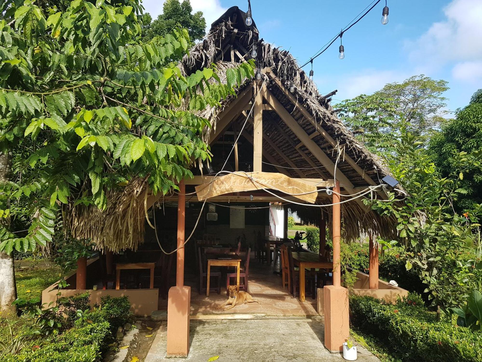 Los Pinos De Torio Ngoại thất bức ảnh