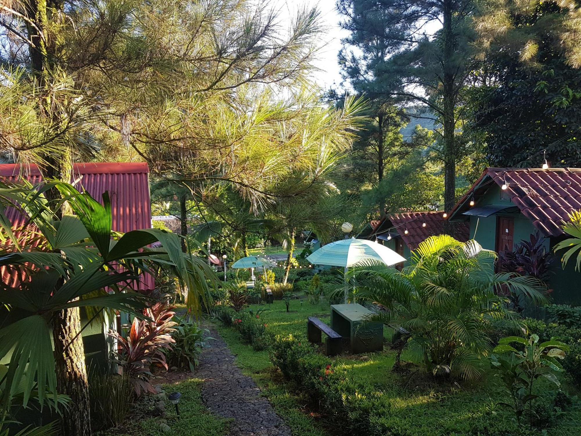 Los Pinos De Torio Ngoại thất bức ảnh