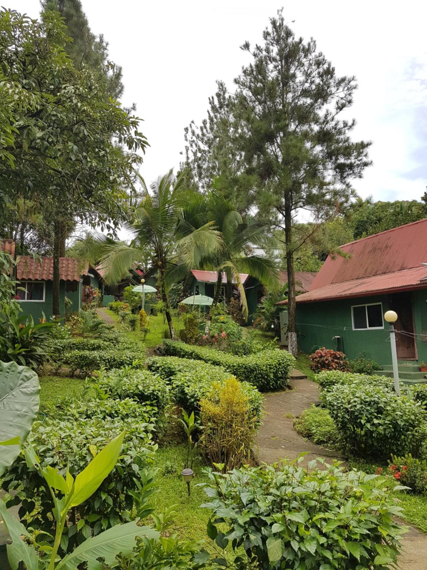 Los Pinos De Torio Ngoại thất bức ảnh