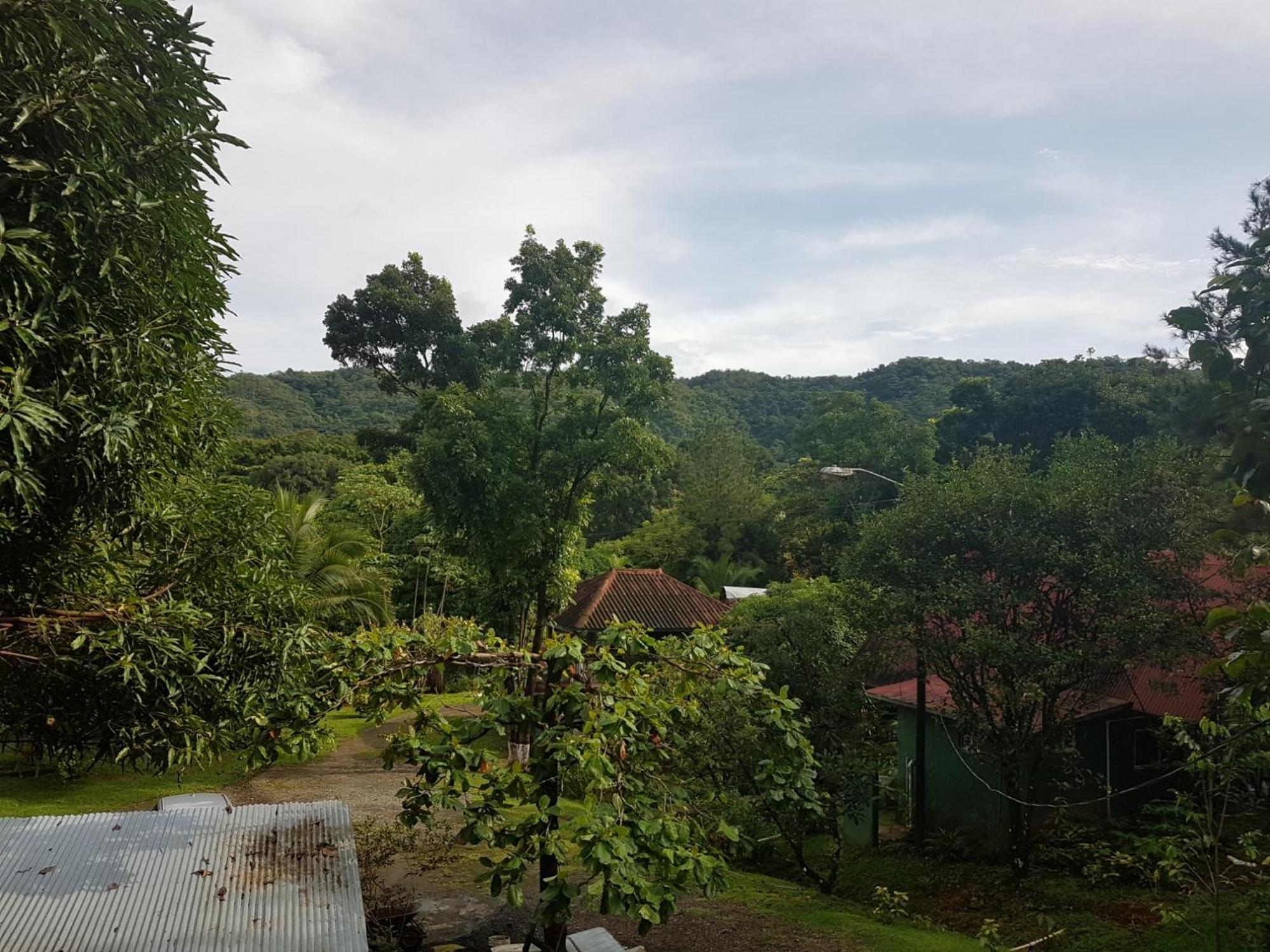 Los Pinos De Torio Ngoại thất bức ảnh